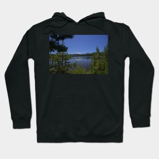 850_5999 Hoodie